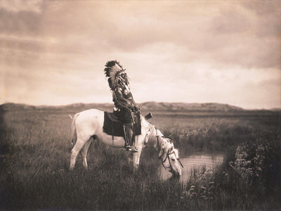 Native Americans: the Edward Curtis Photographic Collection