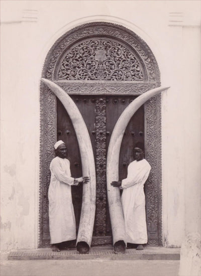 Early Photography: Middle East, Africa, Asia, India
