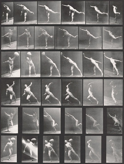 Eadweard Muybridge, Photographic Motion Study