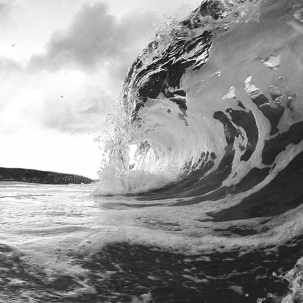 The Big Wave, Black and White / Art Photo - Metal Print