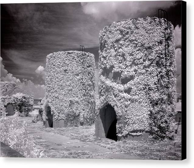 McMillan Reservoir, Washington DC / Art Photo - Canvas Print