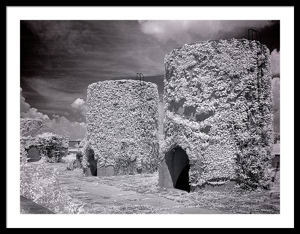 McMillan Reservoir, Washington DC / Art Photo - Framed Print