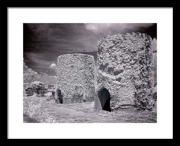 McMillan Reservoir, Washington DC / Art Photo - Framed Print