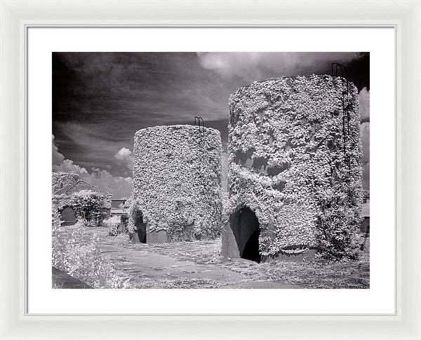 McMillan Reservoir, Washington DC / Art Photo - Framed Print