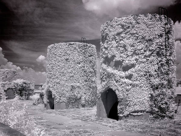 McMillan Reservoir, Washington DC / Art Photo - Art Print