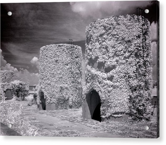 McMillan Reservoir, Washington DC / Art Photo - Acrylic Print