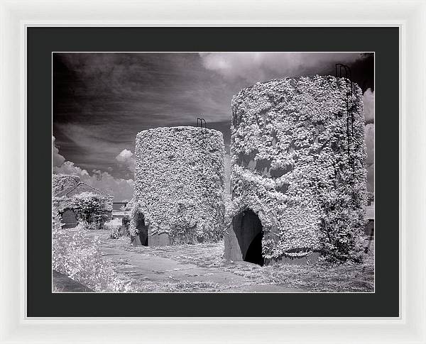 McMillan Reservoir, Washington DC / Art Photo - Framed Print