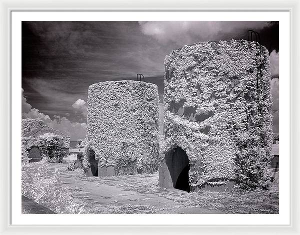 McMillan Reservoir, Washington DC / Art Photo - Framed Print