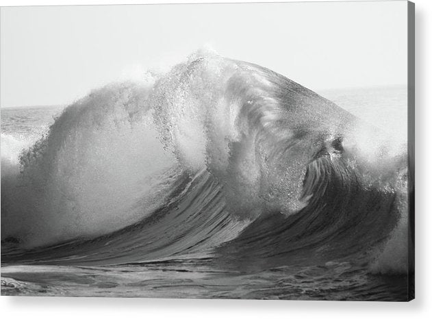 The Wave, Black and White / Art Photo - Acrylic Print