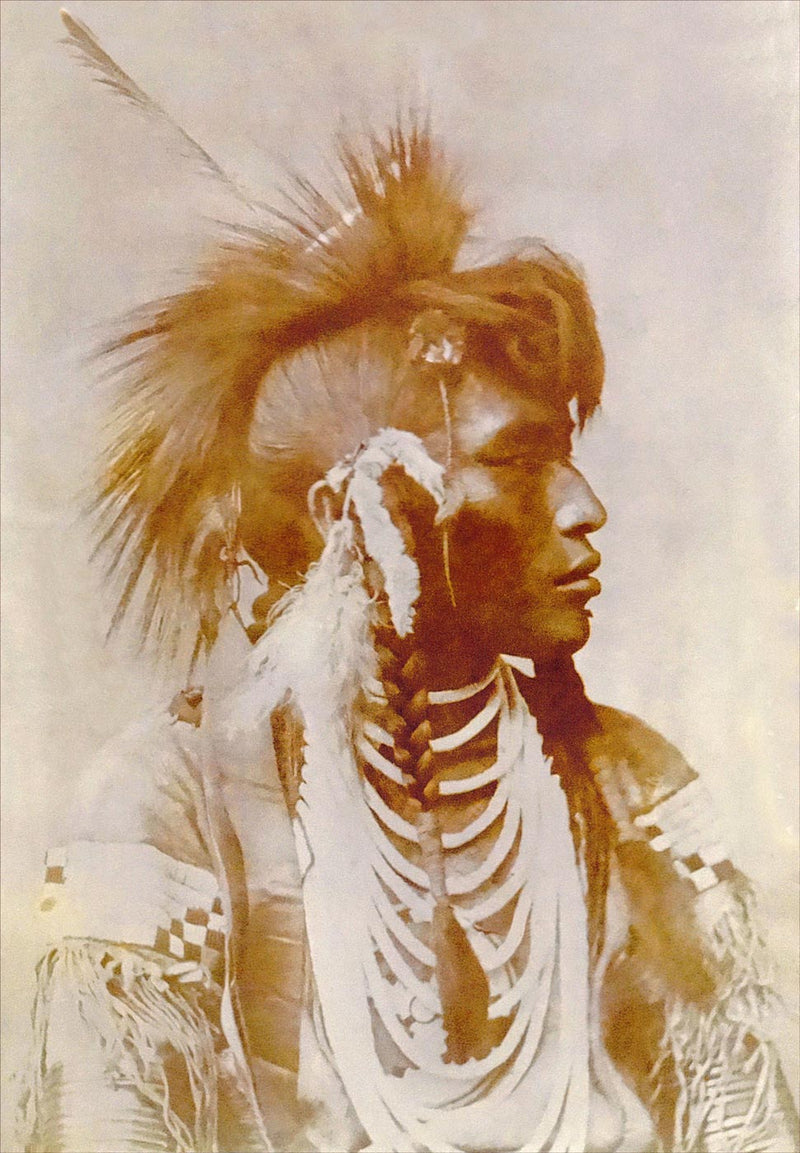 Sioux Warrior 