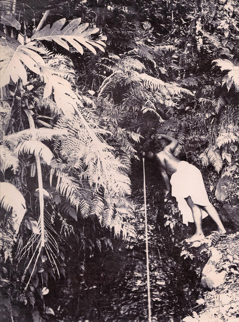 Source Sainte Amélie, Tahiti