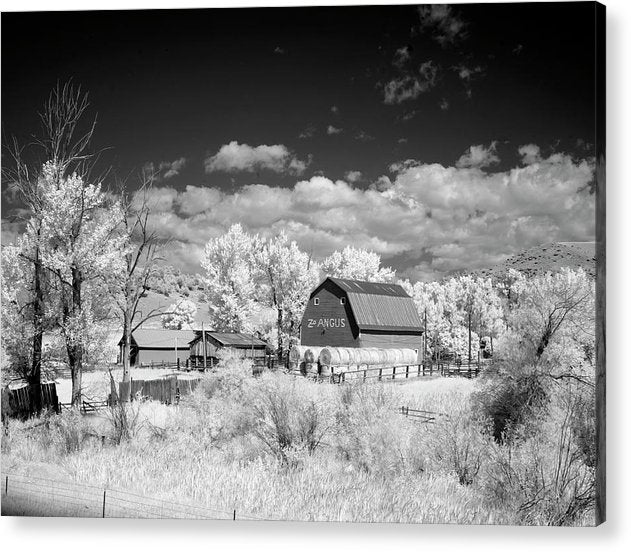 Barn in rural Montana, Infrared View / Art Photo - Acrylic Print