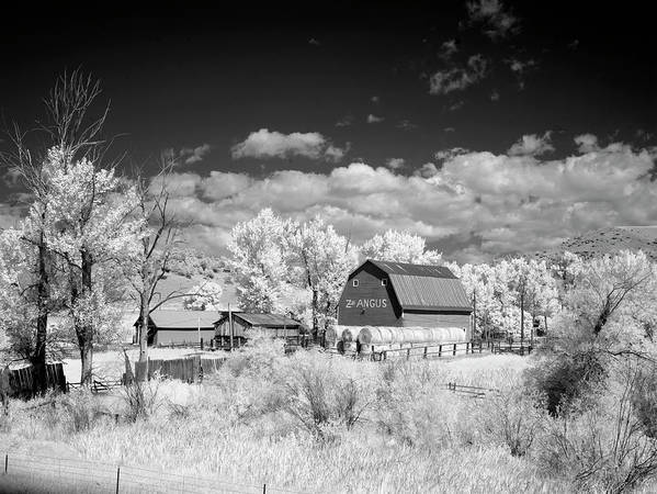 Barn in rural Montana, Infrared View / Art Photo - Art Print