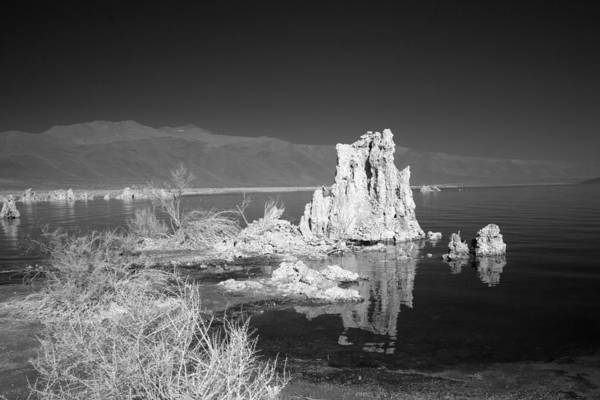 Infrared View, Mono Lake, California  / Art Photo - Art Print