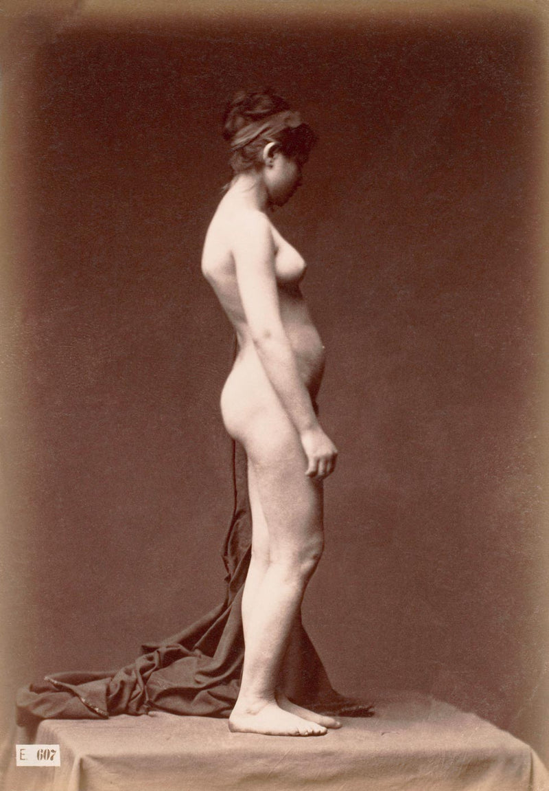 Young Woman, Nude
