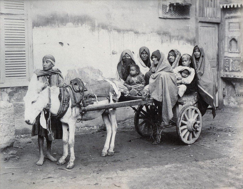 Harem en Déplacement, Egypte