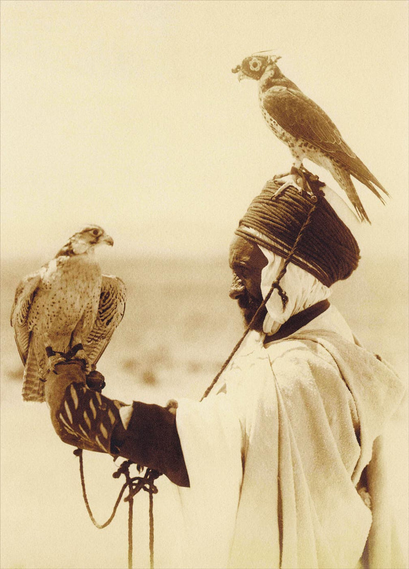 Falconer