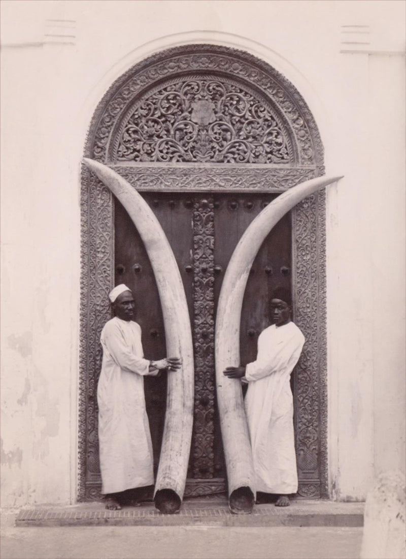 Doorway and Ivory Tusks, Zanzibar