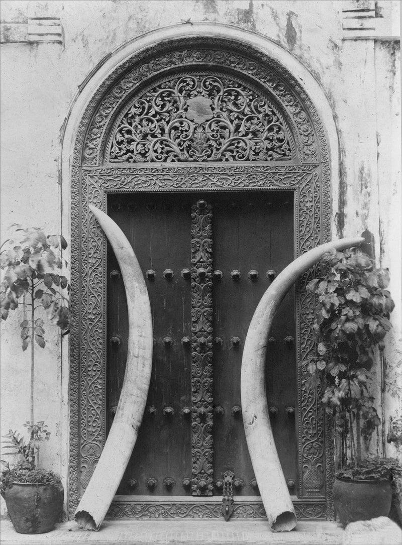 Doorway and Ivory Tusks, Zanzibar