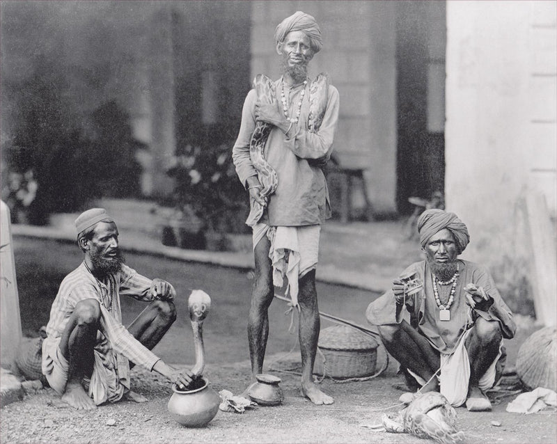 Snake Charmers, India