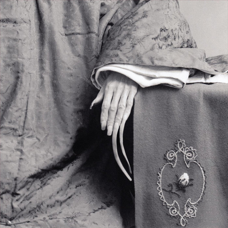 Hand of a Chinese Aristocrat