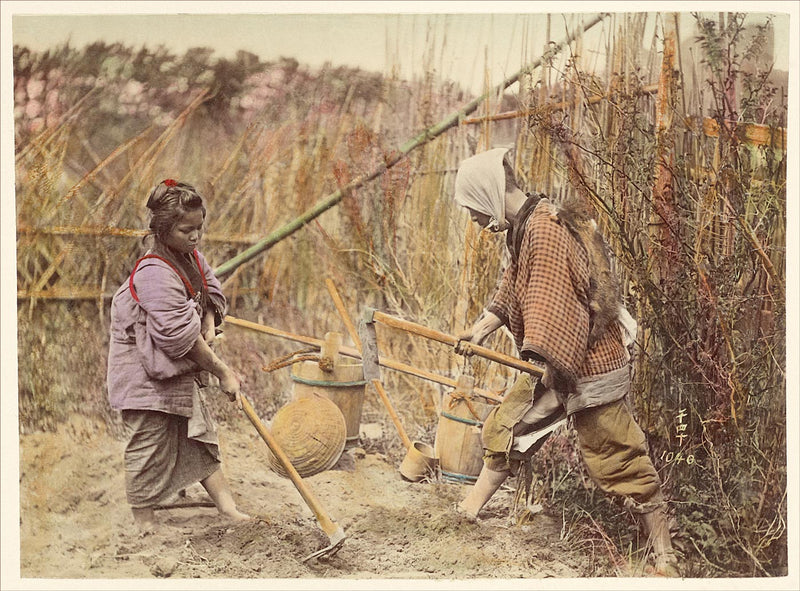 Hand Colored Photography, Japan - Digging the Ground