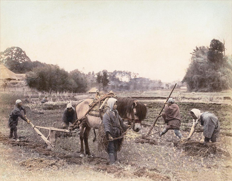 Hand Colored Photography, Japan - Farmers Working in a Field