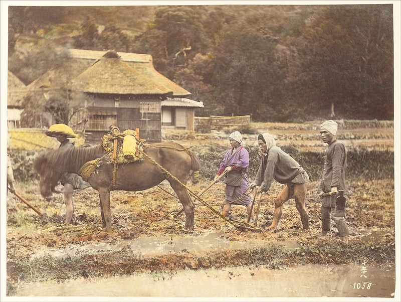 Hand Colored Photography, Japan - Ploughing