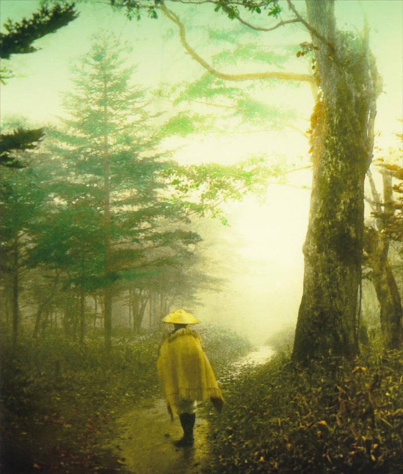 Hand Colored Photography, Japan - Pilgrim on a Forest Road