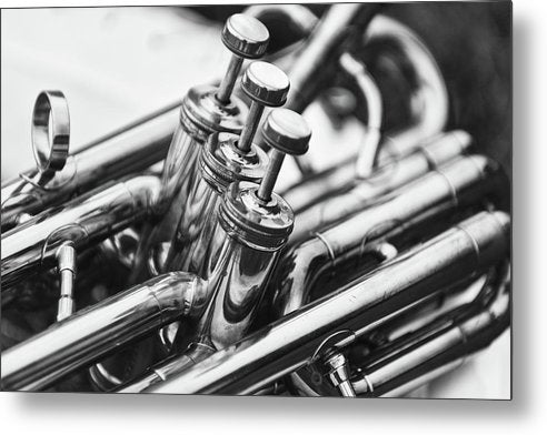 3 Cilinder Sousaphone, Black and White / Art Photo - Metal Print