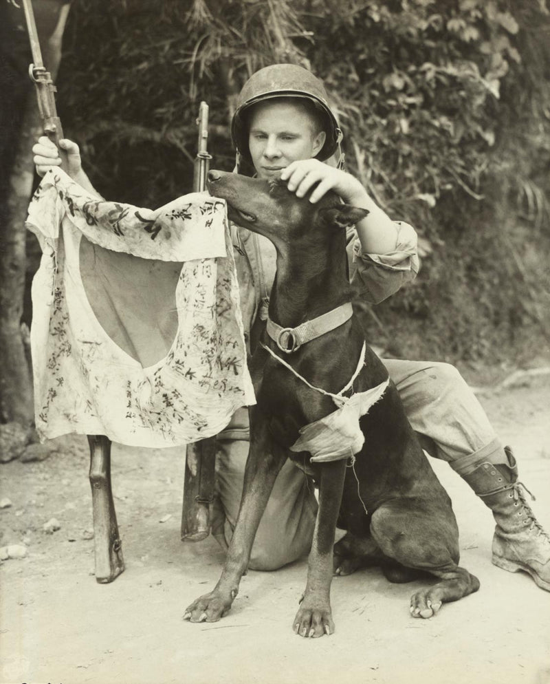 US Marine Corporal Harold Flagg and his War Dog &