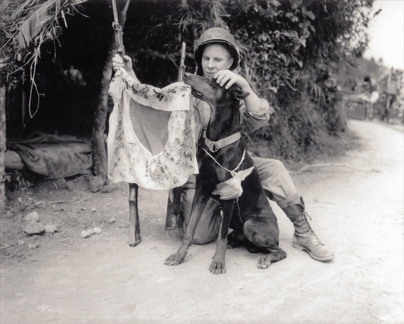 US Marine Corporal Harold Flagg and his War Dog &