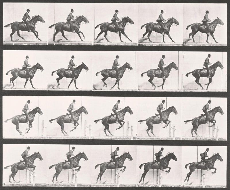 Photographic Motion Study, Plate 11