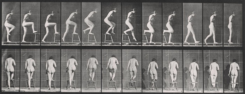 Photographic Motion Study, Plate 19