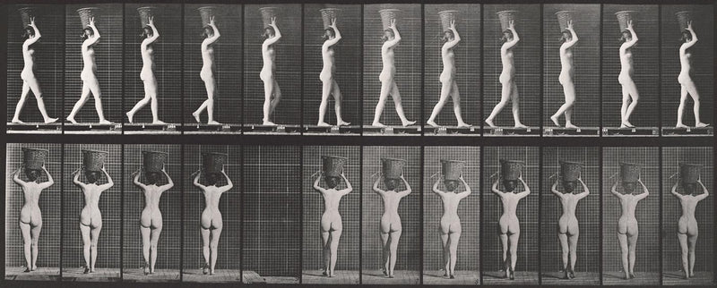 Photographic Motion Study, Plate 22