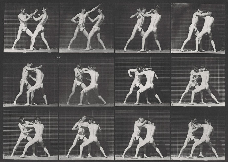 Photographic Motion Study, Plate 25