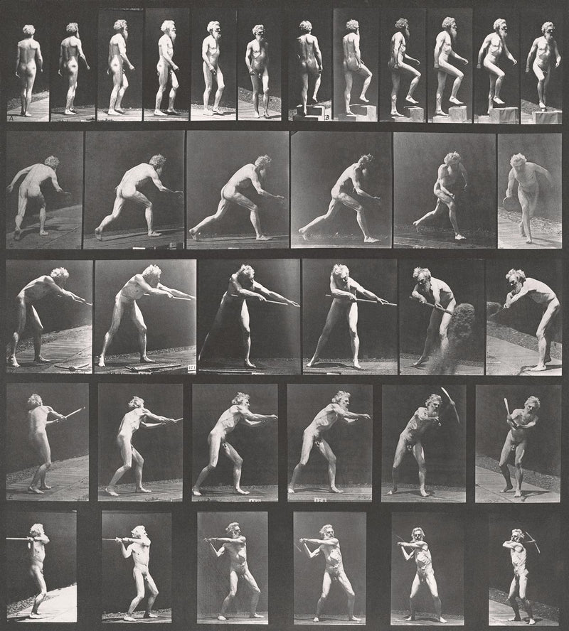 Photographic Motion Study, Plate 26