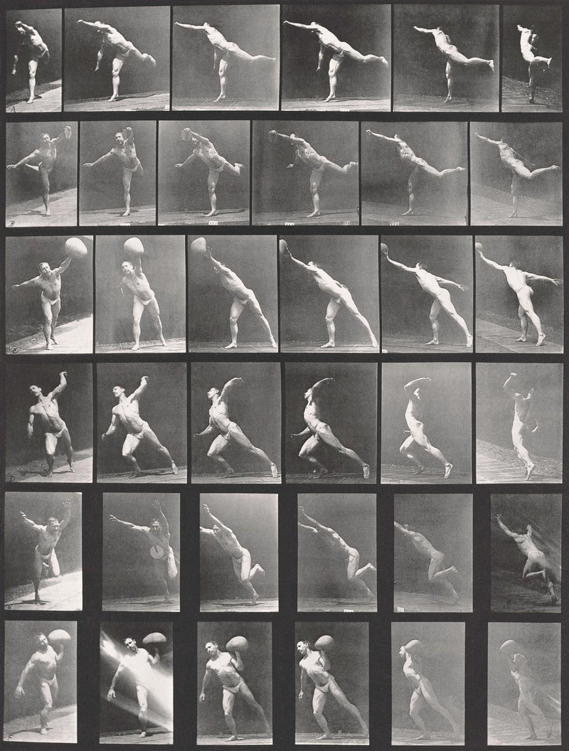 Photographic Motion Study, Plate 27