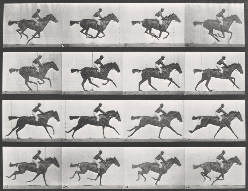 Photographic Motion Study, Plate 28