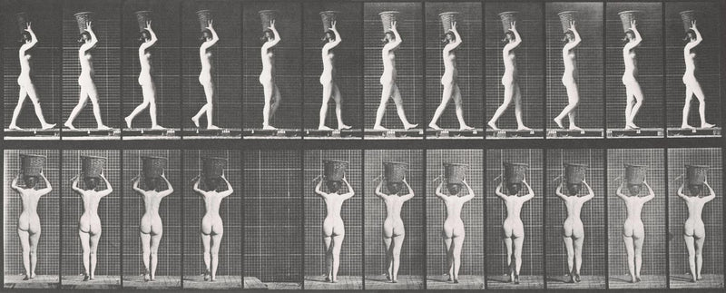 Photographic Motion Study, Plate 32