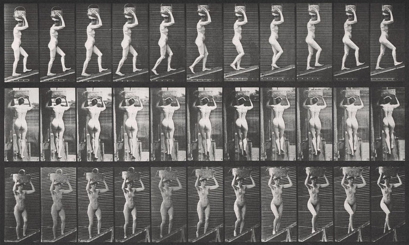 Photographic Motion Study, Plate 33