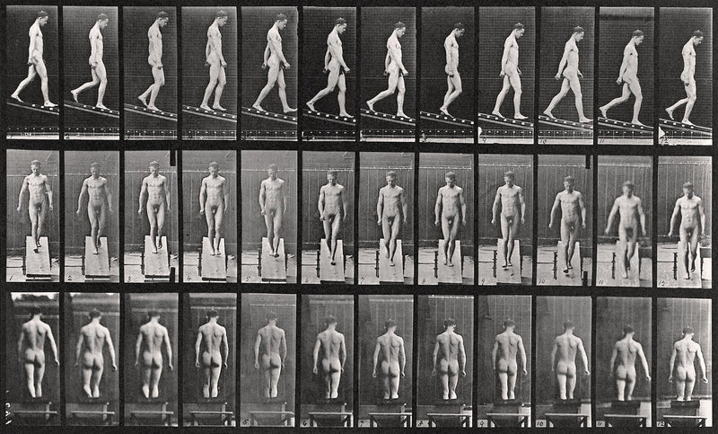 Photographic Motion Study, Plate 34