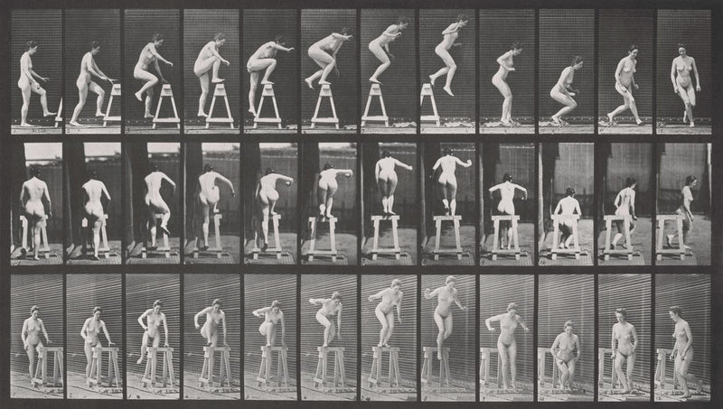 Photographic Motion Study, Plate 36