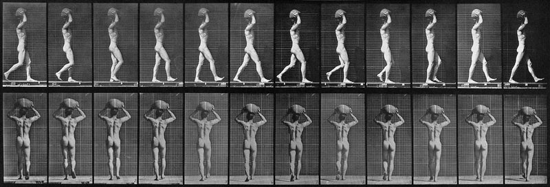 Photographic Motion Study, Plate 39