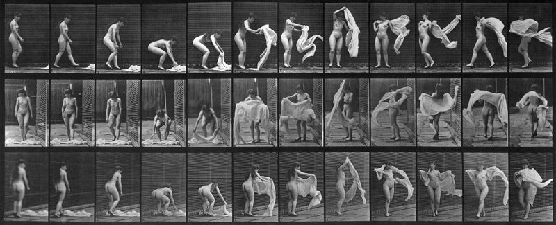 Photographic Motion Study, Plate 46