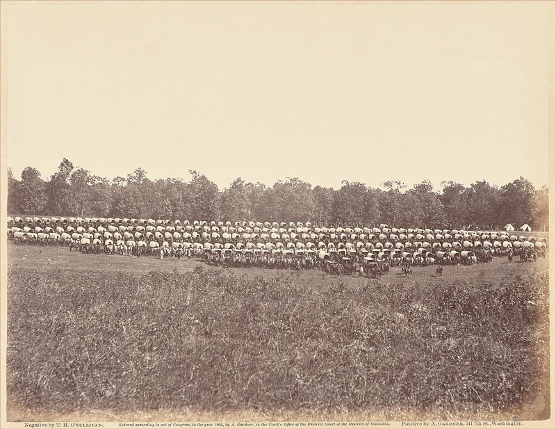 Wagon Park, Brandy Station, Virginia