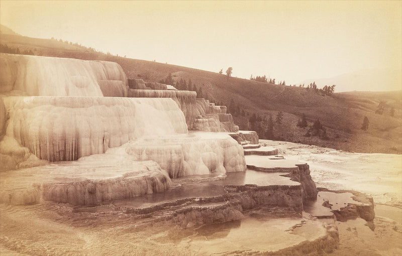 Minerva Terraces, Yellowstone