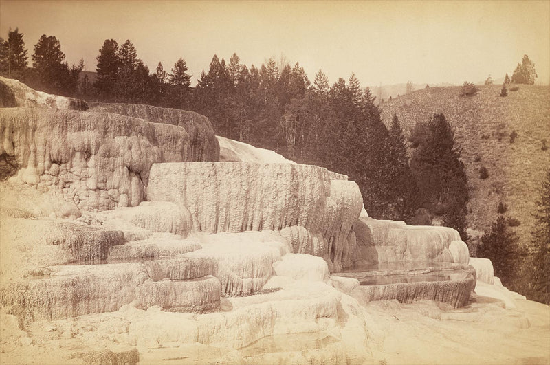 Minerva Terraces, Yellowstone