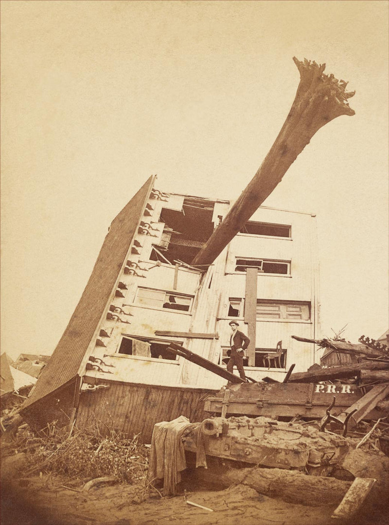 The Johnston Calamity. A Slightly Damaged House