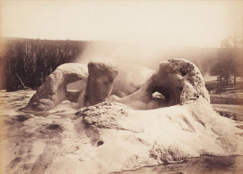 Grotto Geyser, Yellowstone